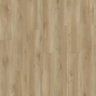 MOD NEXT TORRE OAK 847 BO