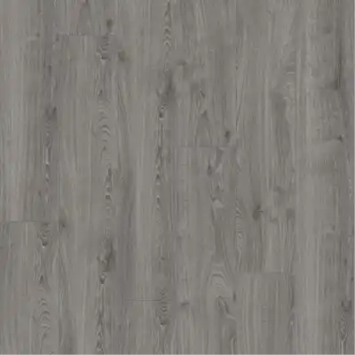 Cologne Oak