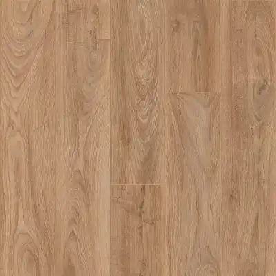 Sevilla Oak