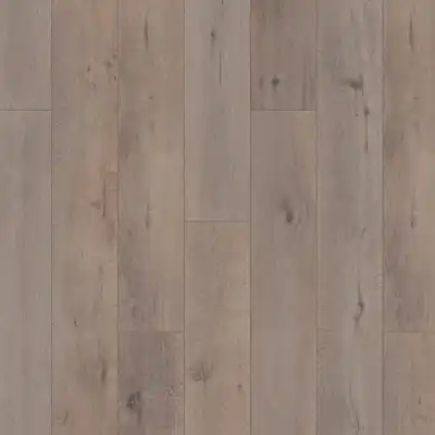 Granada oak