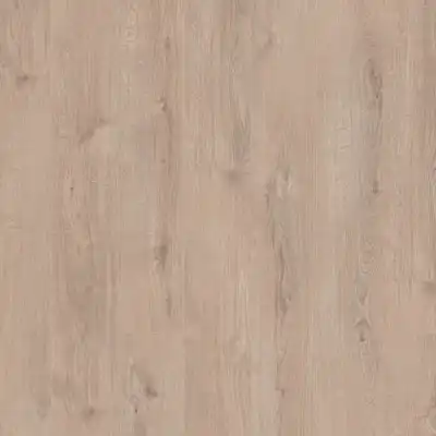 Naples Oak