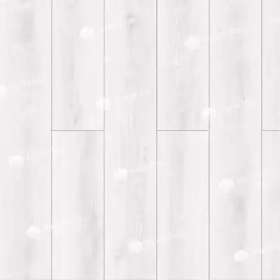Дуб Эльба 