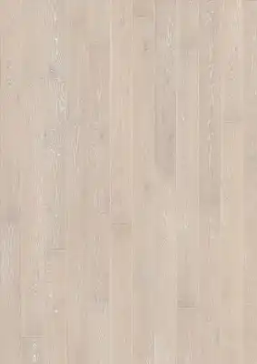 Дуб Снег (Snow)