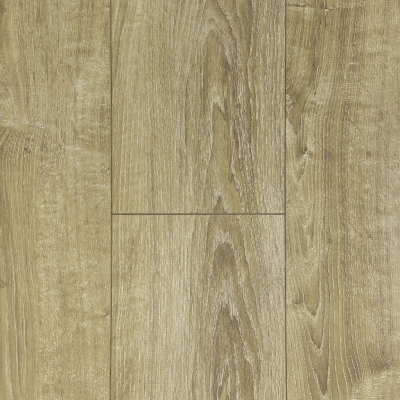 Canaries Oak 