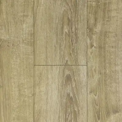 Canaries Oak 
