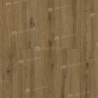 Дуб Котор 