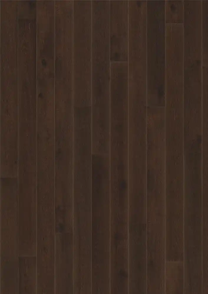 Дуб Чёрный (Black)