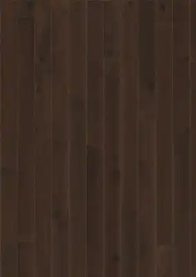 Дуб Чёрный (Black)