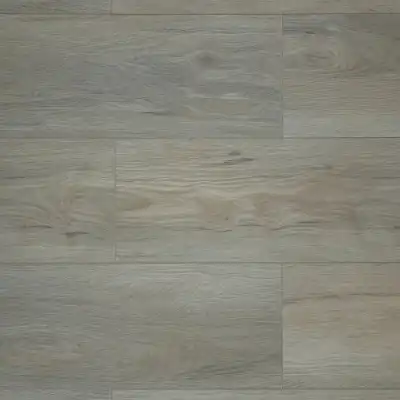 Клён Купер
