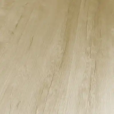  Дуб Челси