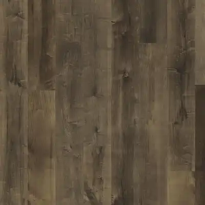 Клён Кароб (Carob 5G)