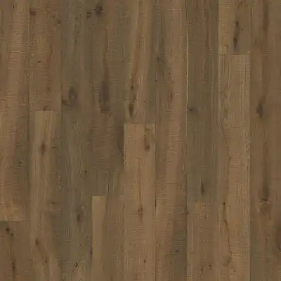 Дуб Бранка (Oak Branca)