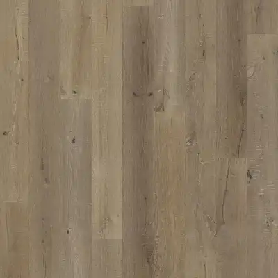 Дуб Пордои (Oak Pordoi)