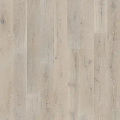 Дуб Локателли (Oak Locatelli)