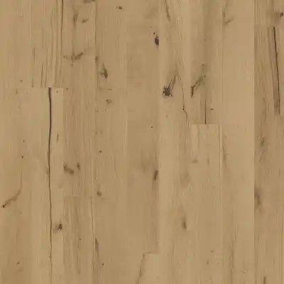 Дуб Рохоптик (Oak Rohoptic)