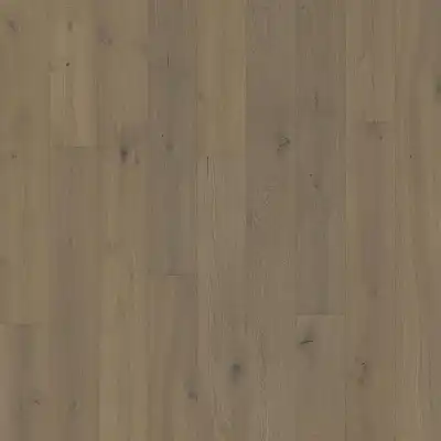 Дуб Счастье (Oak Happiness)