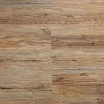 Дуб Каталония