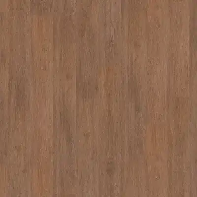 Oak Disco (Дуб Диско)