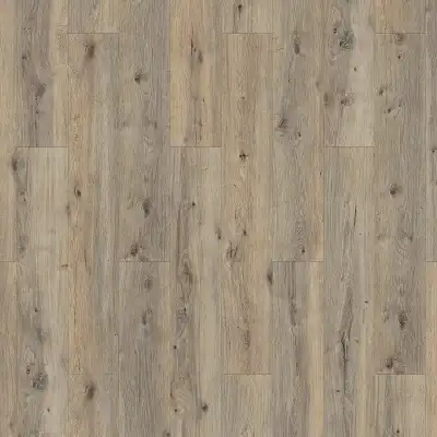 Oak Friday (Дуб Фрайдэй)