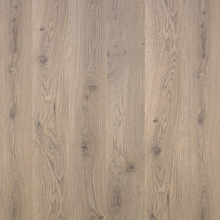 Oak Hannover (Дуб Ганновер) 