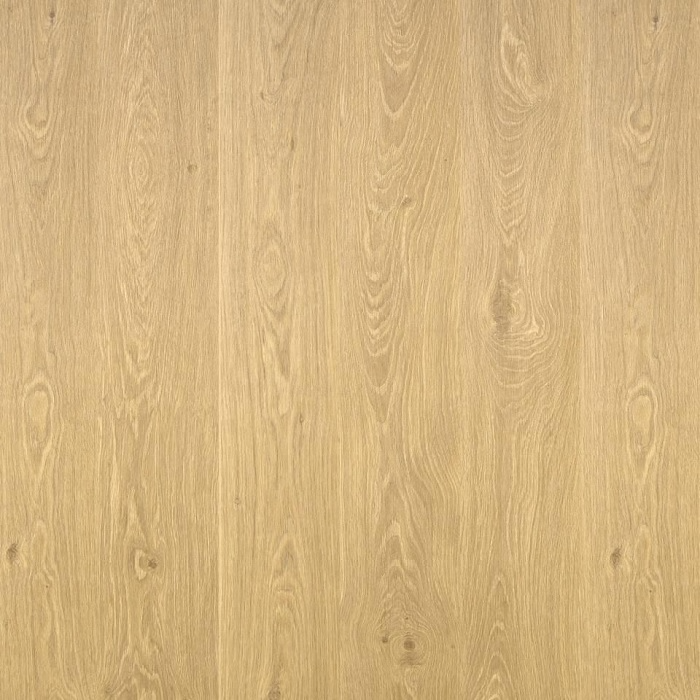 Oak Hamburg (Дуб Гамбург) 
