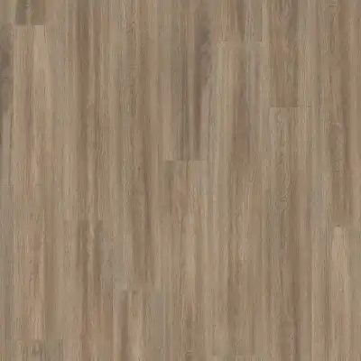 Дуб Сория Серый 