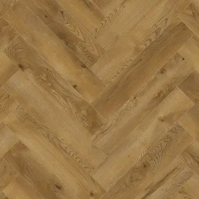 Дуб Беникарло  