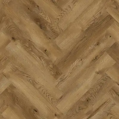 Дуб Таррагона 