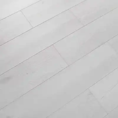 Дуб Имола 