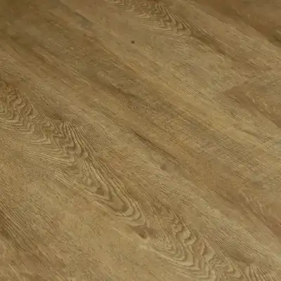 Дуб Баргузинский 