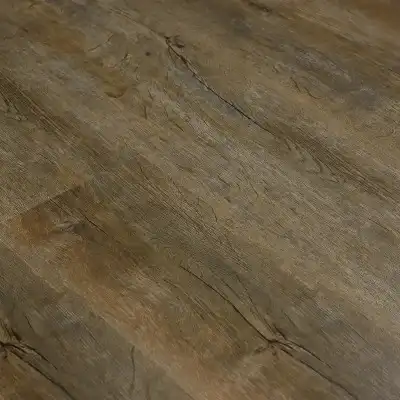 Дуб Белогорье 