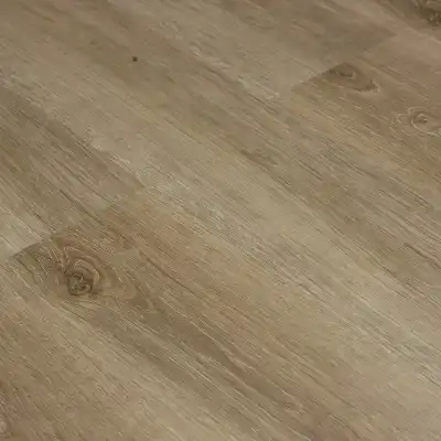 Дуб Врангеля 