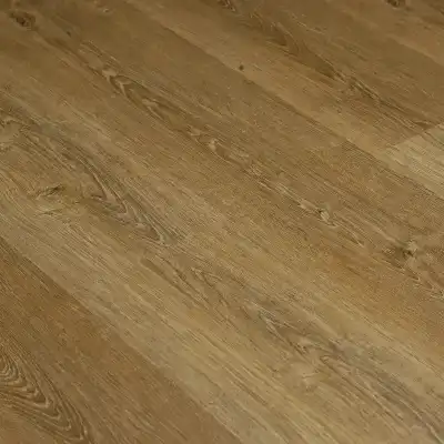 Дуб Даурский 