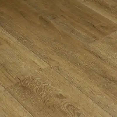 Дуб Дивеево 