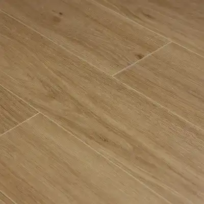 Дуб Махабодхи 