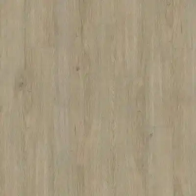 Kevin