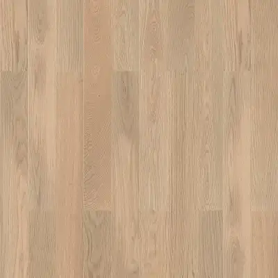 Дуб Муссон (Oak Monsoon BR MDB HG)
