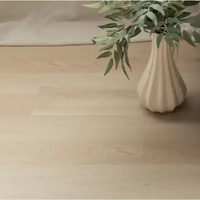 Дуб Ното