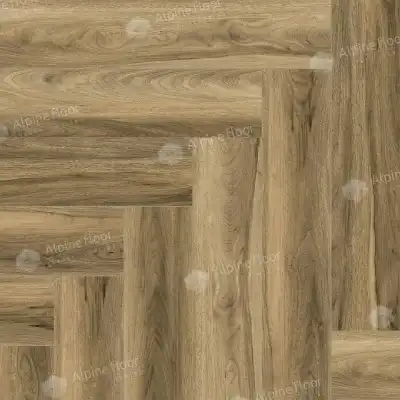  Орех Акорн