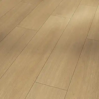 Дуб Престиж 