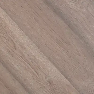 Дуб Канадский