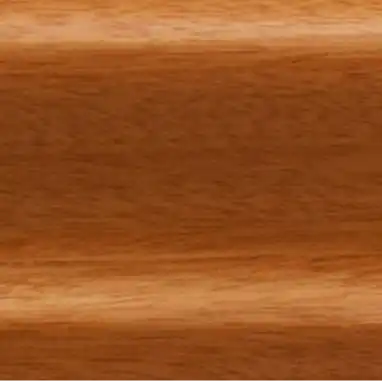 Дуссия 22х60x2500 мм