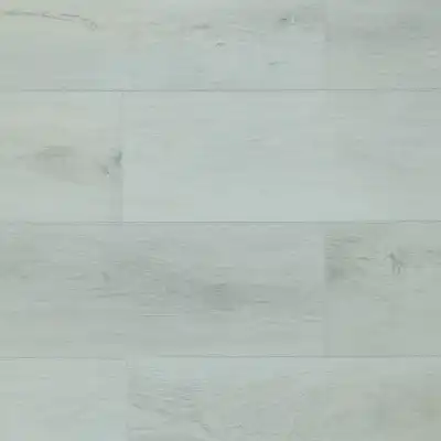 Дуб Забайкальский