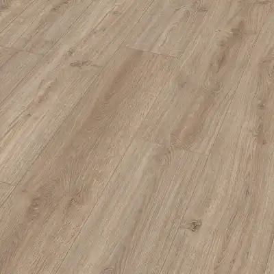 Arcadia oak (Дуб Аркадия) 06412