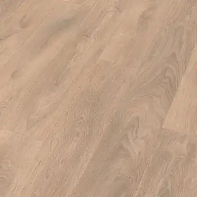 Sand oak (Дуб песчаный) 07004
