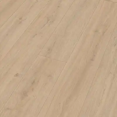 Sand cliff oak (Дуб песчаный утес) 07122