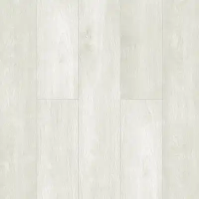 Veloce