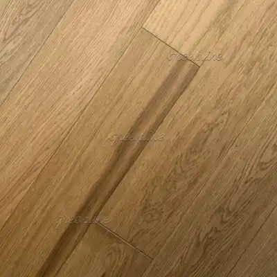 Дуб Гармони селект