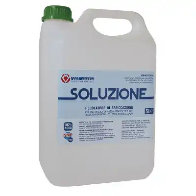 SOLUZIONE 1Л