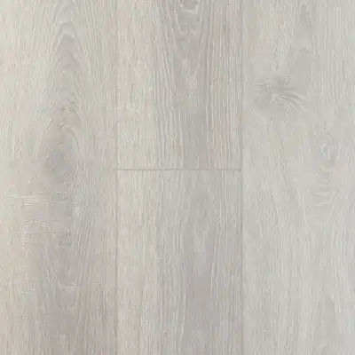 Ива Белая 